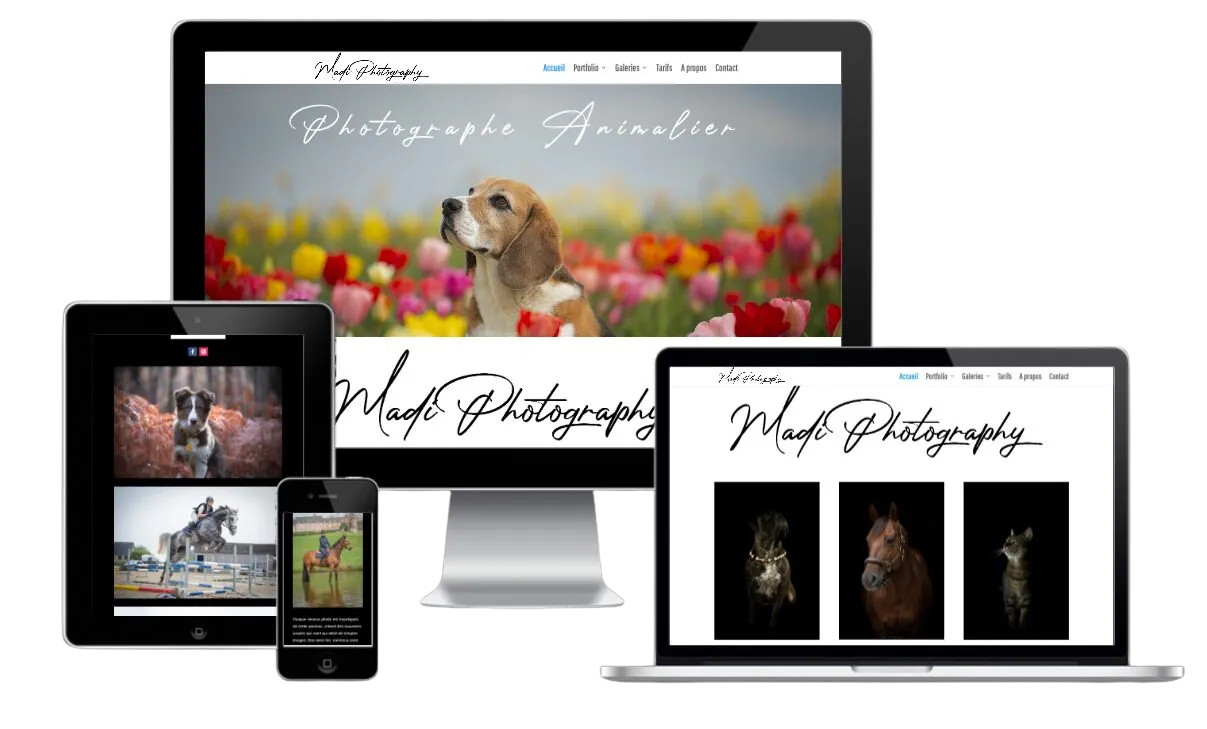 Page d’accueil du site Madi Photography, photographe animalière à Assesse