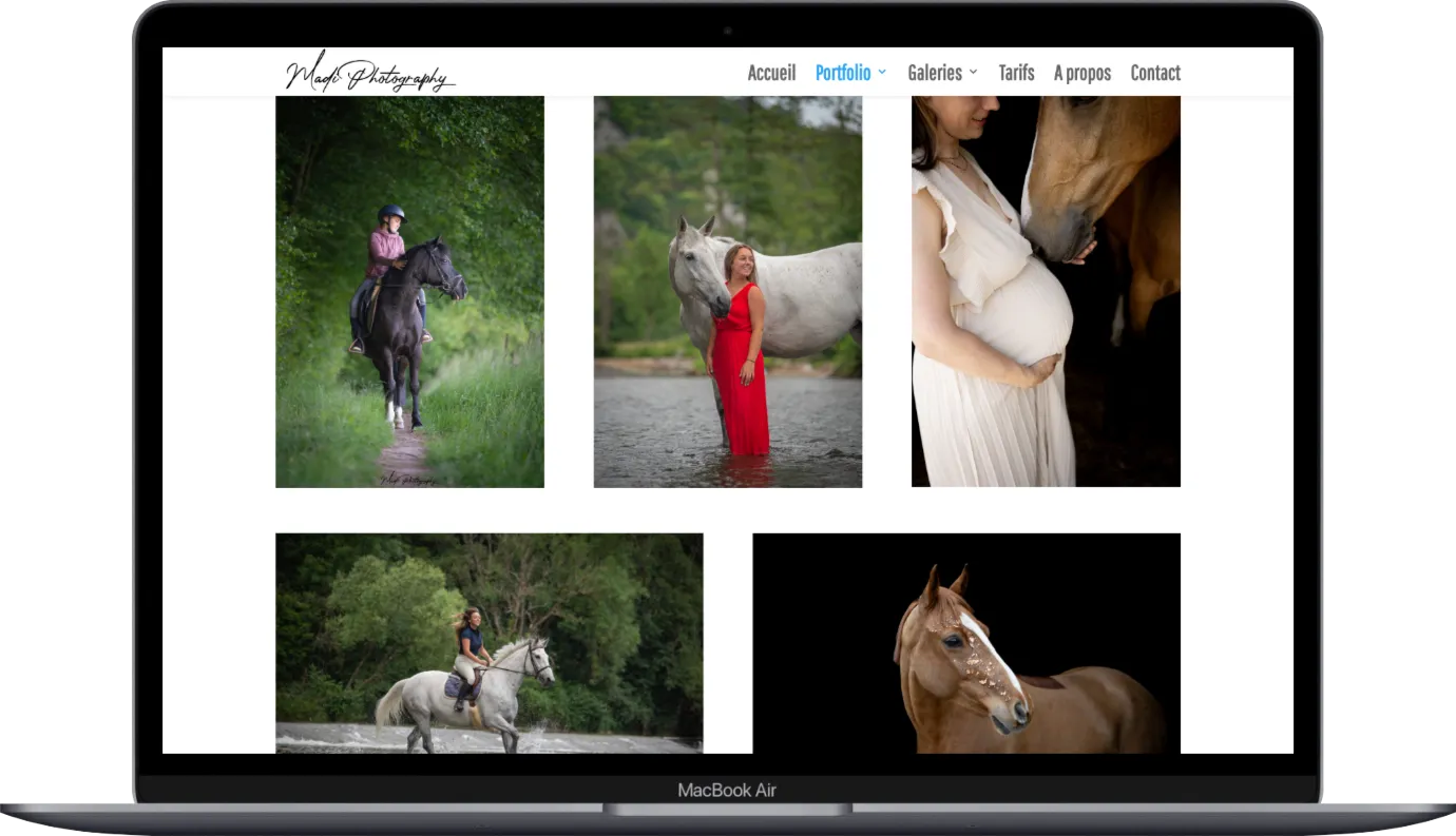 Le portfolio de photographie animalière sur le site Madi Photography